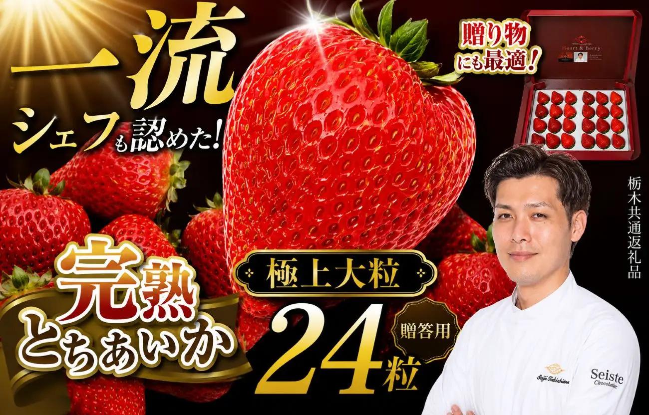 栃木県産 完熟とちあいか ギフトボックス 《大粒極上》 贈答用 ボックス（24粒）　栃木県 下野市 送料無料