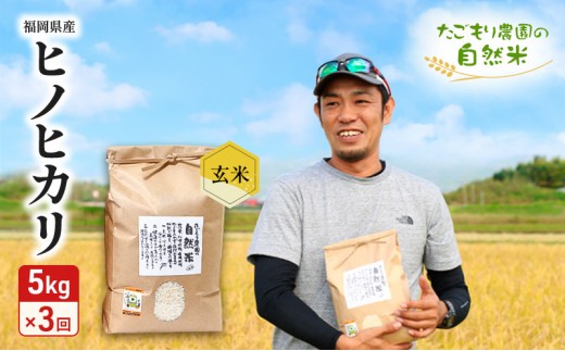 
            定期便 3ヶ月 米 たごもり農園の自然米 ヒノヒカリ 玄米 5kg お米 3回
          