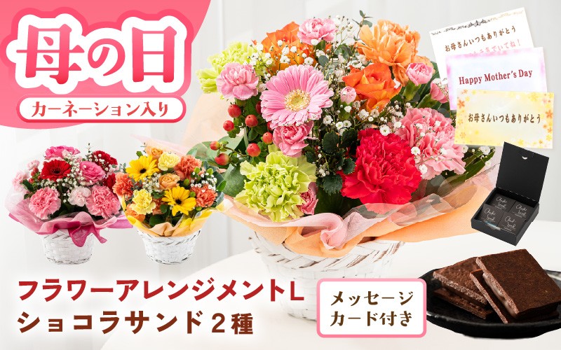 
                  【母の日限定】カーネーション入り フラワーアレンジメントL ＆ ショコラサンド ギフトセット 選べるカラー 【カラー：レッド・ピンク / イエロー・オレンジ / カラフル】 母の日 スイーツ セット お菓子 焼き菓子 お花 フラワー 花束 ギフト 生花 プレゼント 花束 花 お祝い フラワーギフト 贈り物 贈答 [C-20703] 
                