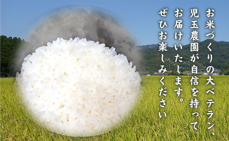【令和7年産】『児玉農園』 にこまる5kg 5kg×1袋《10月中旬-10月末頃出荷》---sg_kodniko7_j10_25_12500_5kg---