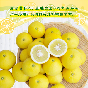 S040-022A_農家の手摘み パール柑 約7.5kg〈先行予約〉 先行予約 柑橘 約 7.5kg 天草産 果物 フルーツ 真珠 手摘み 固め 食感 食べ応え 果肉 上品 甘み おいしい おすすめ 