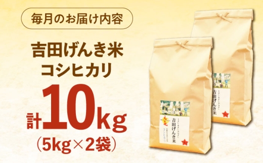 【令和8年産 コシヒカリ 新米 先行予約】 10kg×3回 定期便（計30kg）吉田げんき米 島根県雲南市産 白米 精米 米 お米 新米定期便 米定期便 10キロ [AIDB121-r8]
