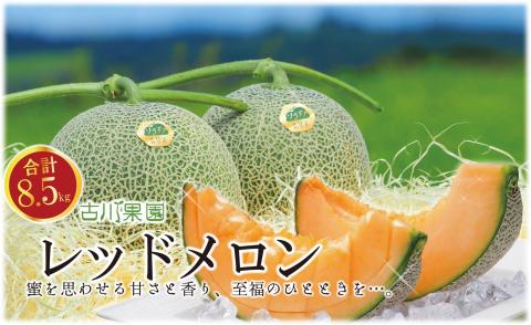 甘～い贅沢 「特選甘熟レッドメロン」北海道産どっさり8.5kg!!