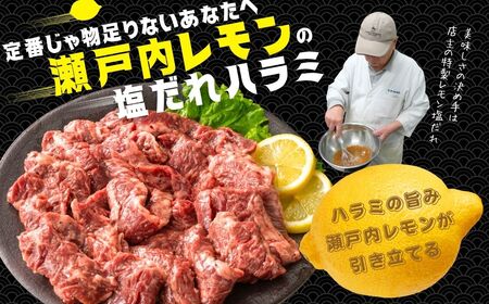 【瀬戸内レモン塩だれ】牛ハラミ 300g×1パック 尾野精肉店の牛ハラミ【肉 訳あり 小分け 真空パック 冷凍 牛肉 ハラミ 味付き 焼肉 BBQ 広島県 竹原市】