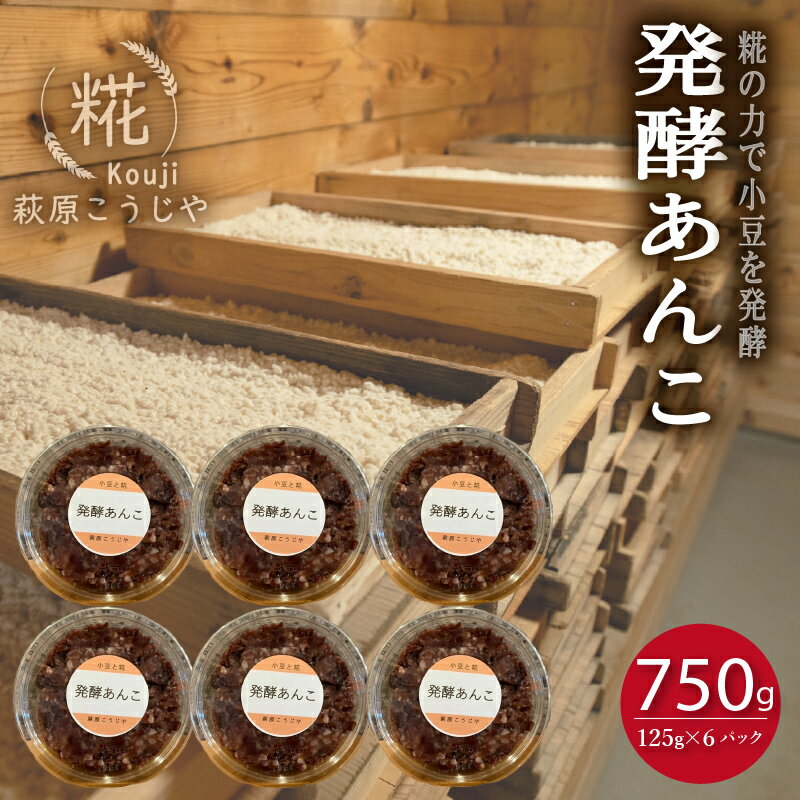 【ふるさと納税】 発酵 あんこ 1 パック 125g入り × 6パック ~明治23年創業こうじやのあんこ~ 和菓子 糀 小豆 あずき 和スイーツ 餡 お菓子 砂糖不使用 腸活 健康 美肌 美容 安心 ストック 小分け 安全 国産 静岡 藤枝