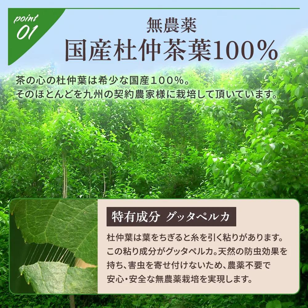 国産 杜仲茶 60包【ネコポス】