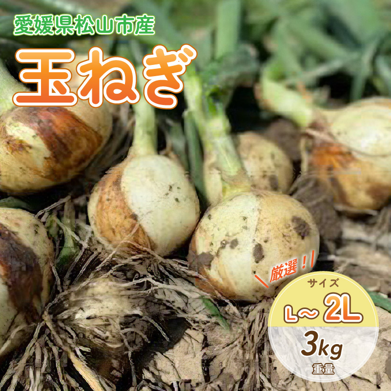 【農薬不使用】玉ねぎ 3kg | 野菜 玉ねぎ 玉葱 たまねぎ タマネギ オニオン 無農薬 おいしい うまい 甘い エコ こだわり SDGs  愛媛県 松山市