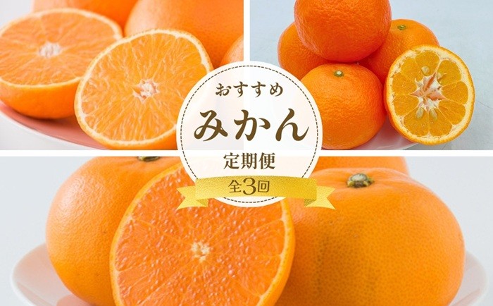 
            紅まどんな 伊予柑 せとか 定期便 全3回 みかんの定期便 人気 柑橘 愛媛 伊予市｜D57
          