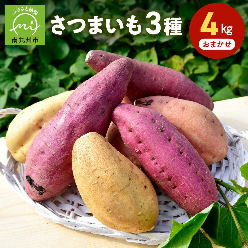 【ふるさと納税】さつまいも 3種 おまかせ 4kg セット 芋 紅さつま 栗こがね シルクスイート ギフト のし対応 指定日OK 贈答品 焼き芋 せごどんファーム 国産 野菜 鹿児島県産 南九州市 送料無料