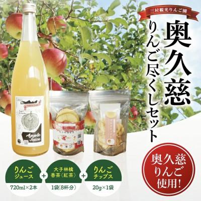 ふるさと納税 大子町 三村観光りんご園が誇る奥久慈りんご尽くしセット(ジュース720ml×2本・林檎香茶1袋・チップス1袋