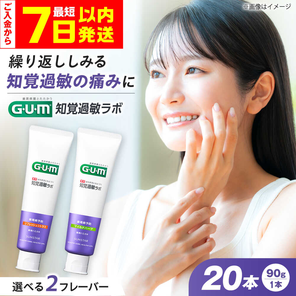 【ふるさと納税】【最短7日以内発送】【選べるフレーバー】GUM知覚ラボ デンタルペースト 90g×20本 歯磨き粉 ハミガキ はみがき粉 歯周病 予防 歯ブラシ ハブラシ 人気 SUNSTAR 知覚過敏 はみがき GUM ストック 消耗品 日用品 大容量 大阪府高槻市/サンスター[AOAD050]