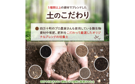味と収穫量が違う、プロ仕様の培養土「四万十畑」２Lｘ２袋　Fis-A04