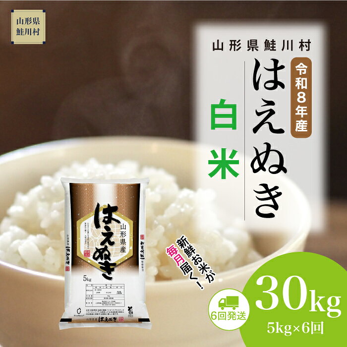 【ふるさと納税】＜令和8年産米＞ 鮭川村 はえぬき 【白米】30kg （5kg×1ヶ月間隔で6回お届け）＜配送時期選べます＞