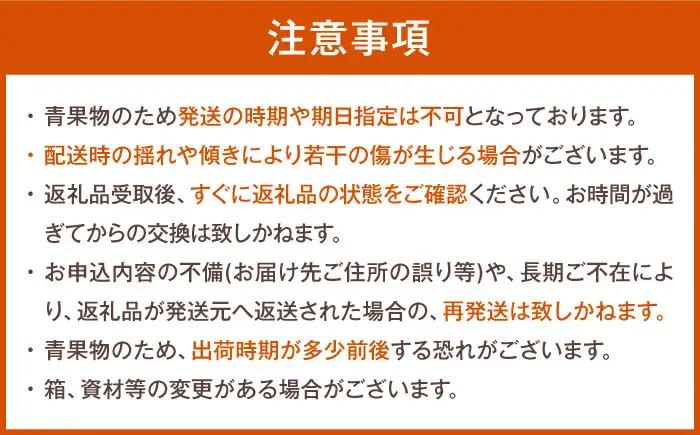 有袋富有柿 2L玉サイズ　約3kg（12玉入り) BKAL001 柿
