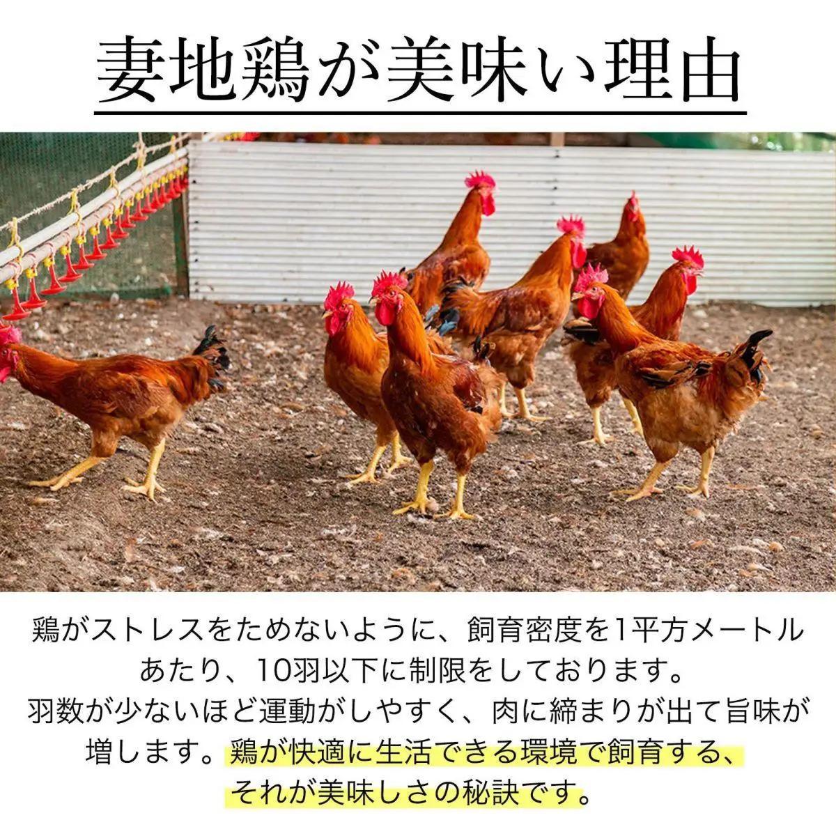 ブランド地鶏「妻地鶏」地鶏骨付もも焼・炭火焼セット45　真空パック＜8-8a＞