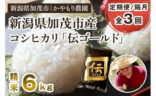 【令和7年産新米】【定期便3回隔月お届け】新潟産コシヒカリ「伝ゴールド」白米真空パック 精米 6kg（1.5kg×4）《9月下旬から順次出荷》 南麻布の高級料亭で提供される極上米 かやもり農園