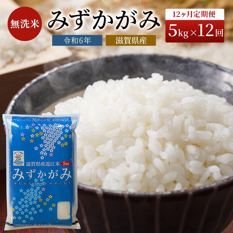 米 定期便 12ヶ月 みずかがみ BG無洗米 5kg 令和6年産新米 ふるさと応援特別米 無洗米 お米 こめ コメ おこめ 白米 12回 お楽しみ