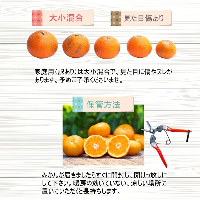 【先行予約】 【産地直送】 有田 育ちの ご家庭用 完熟 清見 オレンジ 2.4kg+100g(補償分) / みかん 甘い オレンジ フルーツ 果物 有田 和歌山 ※2026年2月下旬～2026年3月