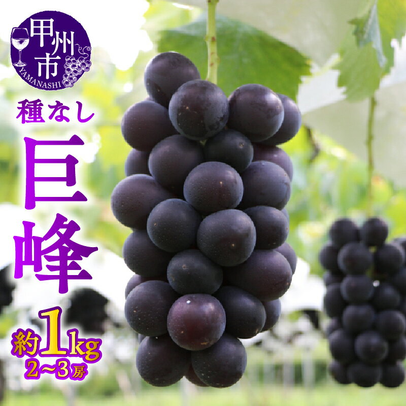 【ふるさと納税】 巨峰 果物 約1.0kg 2～3房 甲州市産 2025年発送 宿沢フルーツ農園 フルーツ 黒ぶどう 種なし ブドウ 濃厚 期間限定 数量限定 贈答 ギフト 家庭用 8月 9月 10月 発送 山梨県 甲州市 (SF) 【B-183】