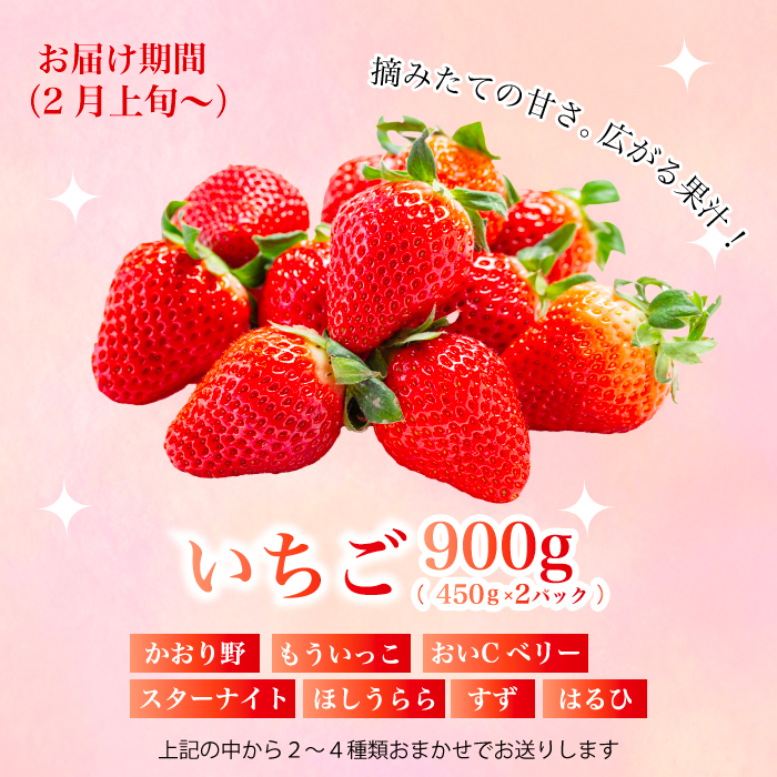 【フルーツ定期便全5回】いちご さくらんぼ 梨 ぶどう りんご 詰め合わせ 採れたて 新鮮 産地直送 果物 広島県 三原市 059014