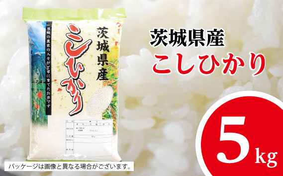 【坂東市産】【令和6年産米】茨城コシヒカリ5kg