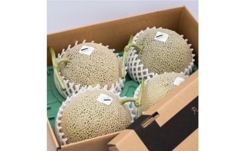 【 2024年7～8月発送】 先行受付 北海道 富良野産 赤肉 つやべに メロン 4～5玉 箱 8kg以上 (ふらの 丸山農園) メロン フルーツ 果物 新鮮 甘い 贈り物 ギフト 道産 ジューシー