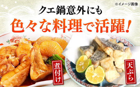 【全12回定期便】対馬産 クエ ぶつ切り 900g 鍋用スープ付《対馬市》【島本水産】高級魚 新鮮 肉厚 本格的 海鮮 鍋セット フライ 煮付け アラ[WBI017]