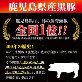 ＜敬老の日＞鹿児島黒牛黒豚セット(900g)【JA鹿児島いずみ】ja-820