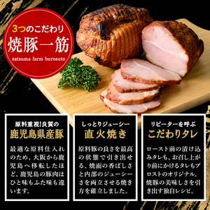 No.1206 ＜定期便・全3回＞鹿児島県産焼豚！(総計2.2kg・100g×6P/300g×2P/500g×2P)タレ付き！ 焼豚 定期便 お中元 お歳暮 ギフト 贈答 詰め合わせ 豚肉 タレ 国産