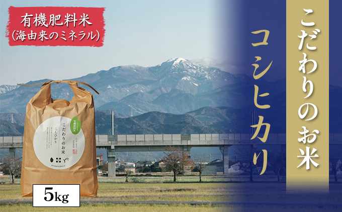 北本農場こだわりのお米令和6年度産コシヒカリ精米5kg有機肥料（海由来のミネラル）で育てたお米