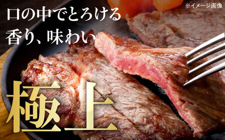 【飛騨牛】サーロインステーキ2枚入り(1枚約250g) 黒毛和牛 ギフト 焼肉 国産 贈答 岐阜市 /  藤太[ANHO001]