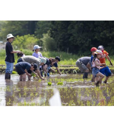 ふるさと納税 鏡石町 令和8年産かがみいし田んぼアートの福島県オリジナル品種「天のつぶ」玄米　10kg(5kg×2袋) |  | 02