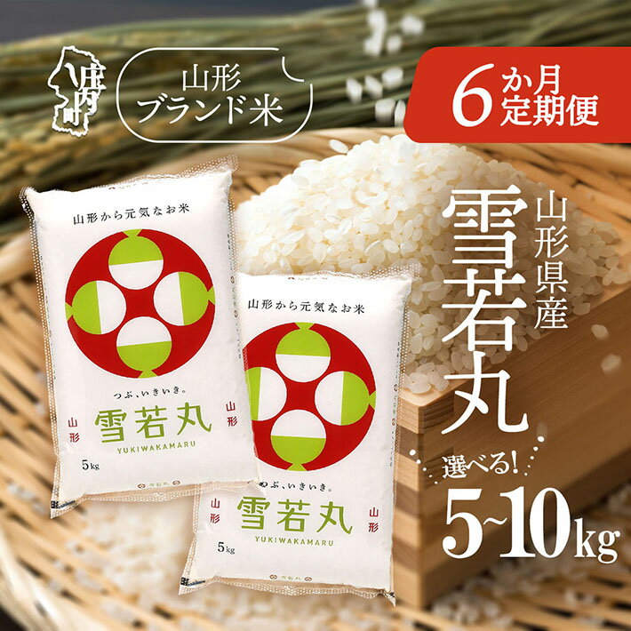 【ふるさと納税】＜毎月中旬発送＞山形米6か月定期便！雪若丸 選べる配送開始月 内容量 5kg / 6kg / 10kg ブランド米 2025年産 ふるさと納税 米 定期便 山形県