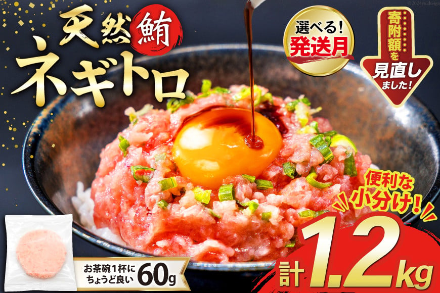 
            選べる発送月 天然 マグロ ネギトロ まぐろたたき 冷凍 60g 20パック 計1.2kg 小分け 個包装 FY03 [トライ産業 静岡県 吉田町 22424403] まぐろ 鮪 ねぎとろ まぐろのたたき マグロたたき ネギとろ ねぎトロ
          