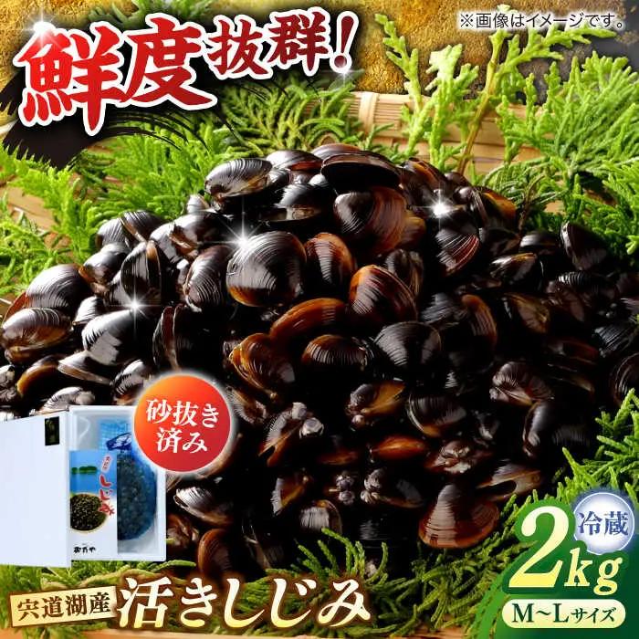 しじみ しじみ 砂抜き不要！ 活ヤマトシジミ 生しじみ 2kg 島根県松江市/株式会社漁師村[ALDN003] しじみ しじみ