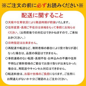 ぷりぷりシャインマスカット２kg