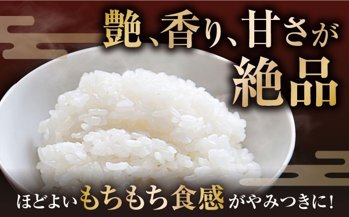 【全6回定期便】特別栽培 ミルキークイーン 5kg 白米 ×6回　米 定期便 白米  5kg