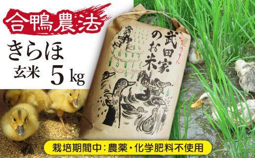 
            《令和６年産》武田家のお米 きらほ（玄米）５kg ＜合鴨農法＞【米農家 仁左ェ門】/ 米 げんまい ５キロ アイガモ
          