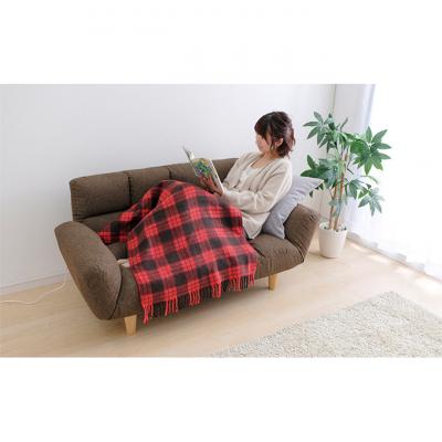 ふるさと納税 大河原町 電気毛布 ブランケット ひざ掛け120×60cm EBK-1206-ZRレッド[53750495] |  | 03