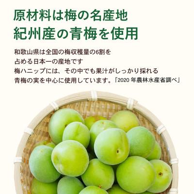 ふるさと納税 新宮市 【新宮市】希釈用梅ドリンク 梅ハニップ 3本セット |  | 03