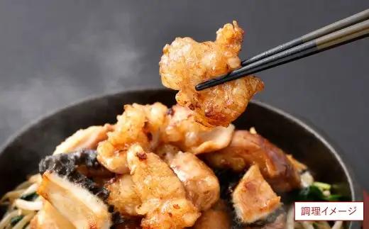 ミックスホルモン 約500g（約500g×1パック）ホルモン 九州産 ミックス 丸腸 赤センマイ はちのす 小腸 冷凍 福岡県 北九州市