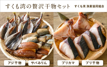 すくも湾 贅沢干物セット 干物