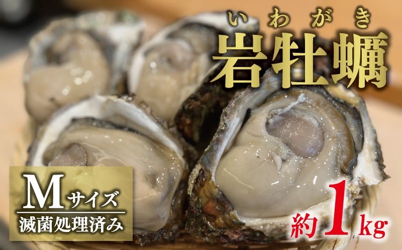 
            【 数量限定 】 先行予約 岩牡蠣 Ｍサイズ 約 1kg （4～5個） 10000円 いわがき 殻付き 岩がき 殻付 岩カキ 岩かき かき カキ オイスター 大粒 肉厚 カキフライ 焼き牡蠣 蒸し牡蠣 焼きがき ミルク ソテー 酒蒸し バーベキュー などに 冷蔵 国産 産地直送 期間限定 夏 季節限定 特産品 魚介 養殖 人気 贈答 プレゼント ギフト 土産 お取り寄せ 上甲商会 愛南町 愛媛県
          