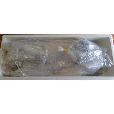 ふるさと納税 根室市 【年内配送可】★ホッケ・コマイセットA A-59003 |  | 01