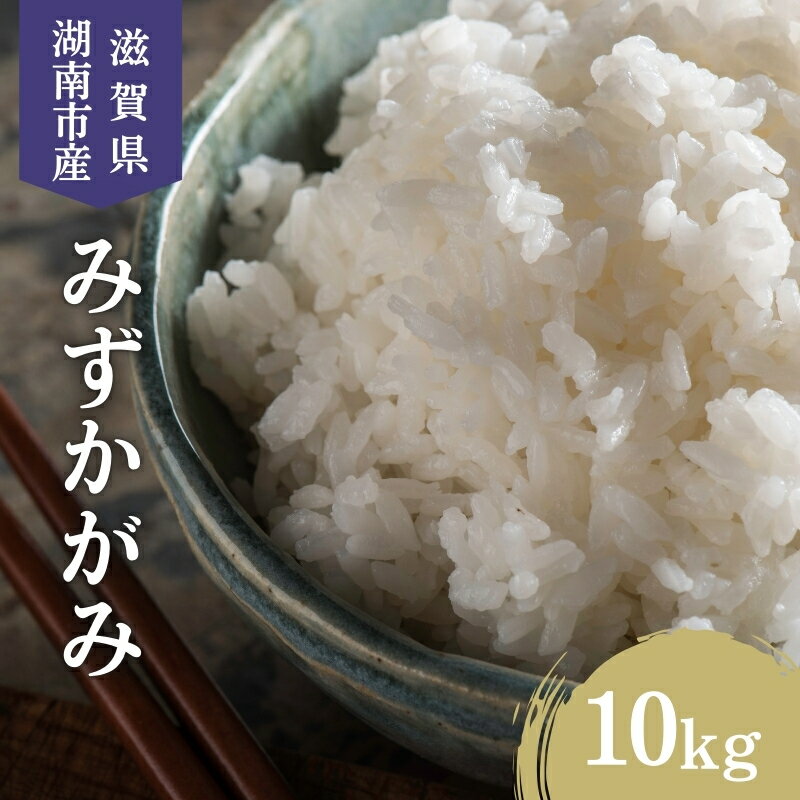 【ふるさと納税】【先行予約受付中】令和7年産 滋賀県産 米 みずかがみ 10kg