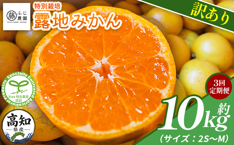 【3回定期便】ふじ農園の露地みかん 訳あり品 10kg(2S～M) - 5kg×2箱 計10kg 国産 小玉 蜜柑 ミカン 柑橘 果物 フルーツ 訳アリ ご家庭用 自宅用 ふじ農園 高知県 香南市【常