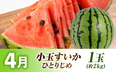 【先行予約】【全3回定期便】旬の果物ひとりじめ定期便[AYZZ006]