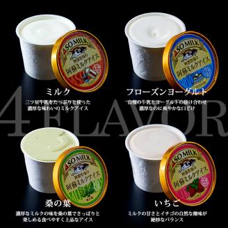 牧場直送！阿蘇ミルクアイスセット イチゴ10個 阿部牧場 牧場 アイス 10個 牛乳 ミルク MILK 乳製品 最優秀味覚賞 人気 濃厚 こだわり イチゴ いちご セット 詰め合わせ スイーツ デザー