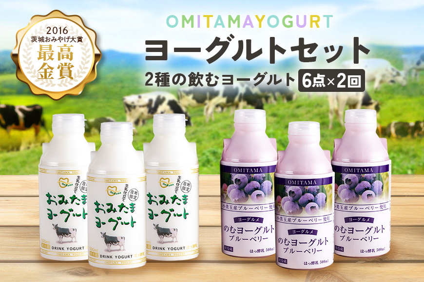 【2回定期便】 おみたまドリンクヨーグルトセット 500ml×6本×2回 1-I