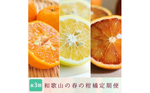 
                  定期便全3回 【2月・3月・4月発送】 和歌山の春の柑橘 （ポンカン・はるか・ブラッドオレンジ）秀品【tkb452】
                